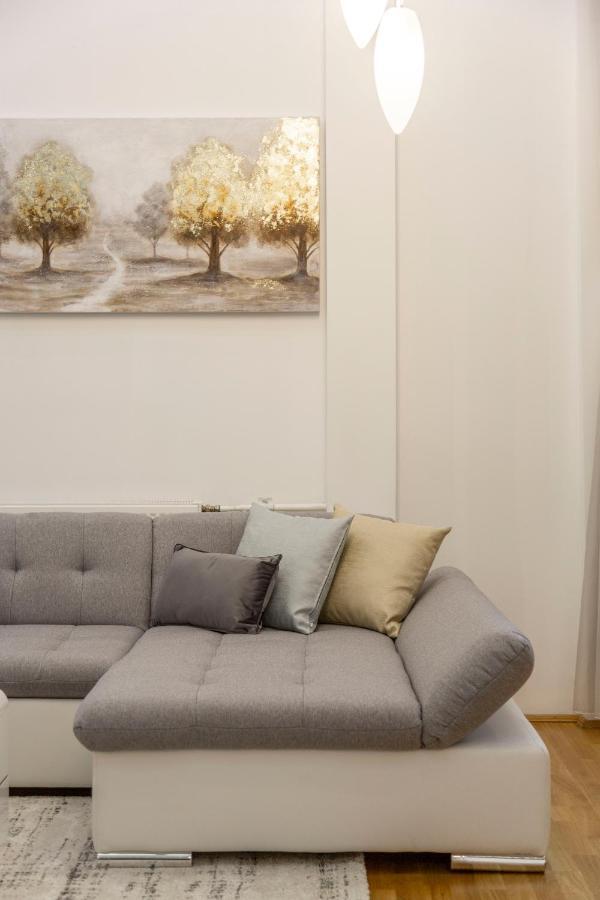 Luxurious & Spacious Downtown Residence In Liszt Ferenc Square ブダペスト エクステリア 写真