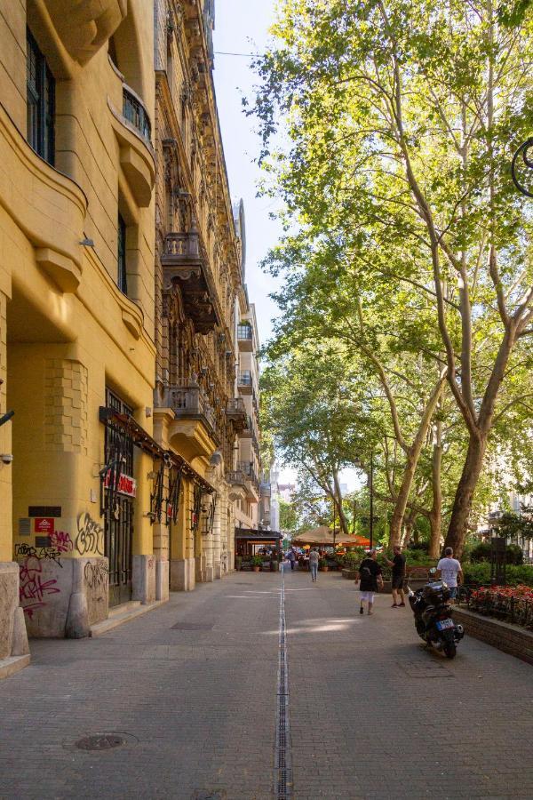 Luxurious & Spacious Downtown Residence In Liszt Ferenc Square ブダペスト エクステリア 写真