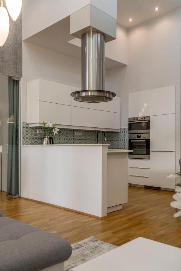 Luxurious & Spacious Downtown Residence In Liszt Ferenc Square ブダペスト エクステリア 写真